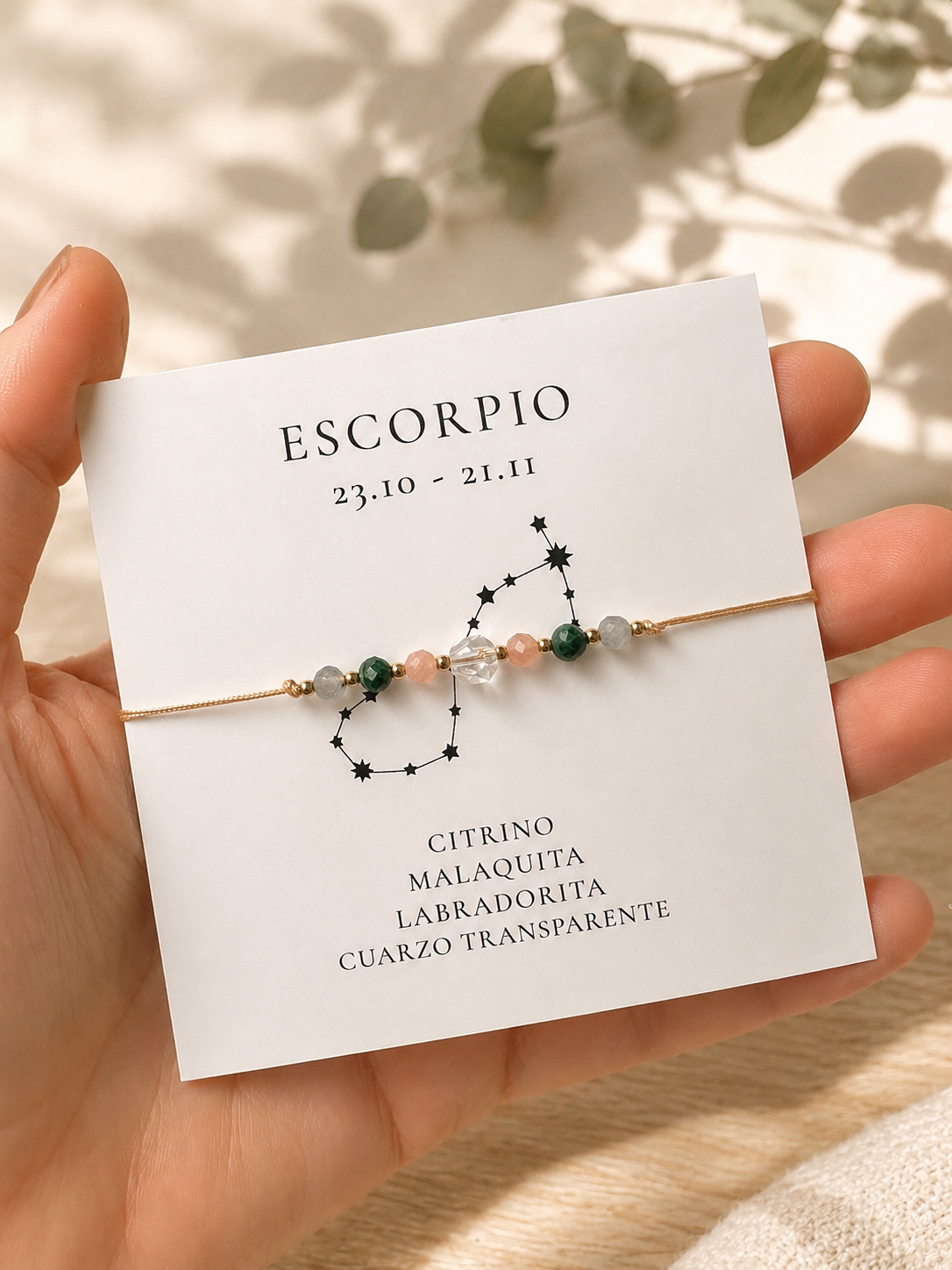 ♏ Escorpio · Intensidad, misterio y transformación ✨